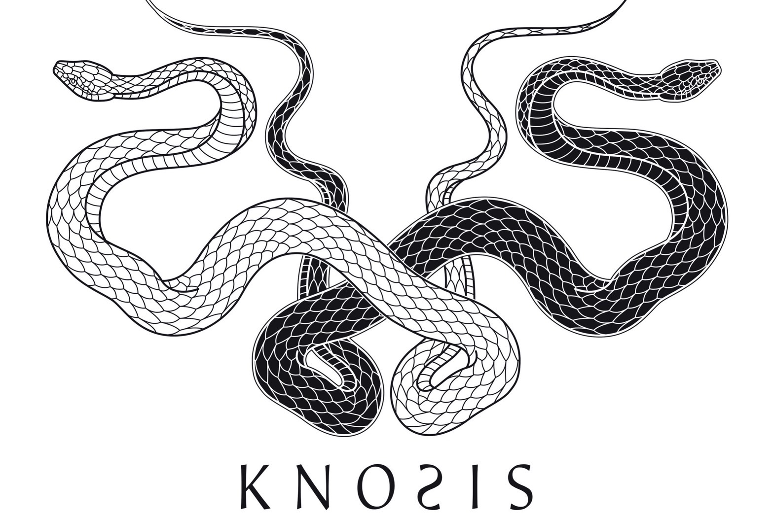 Knosis